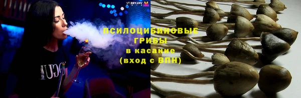 кокс Каменка