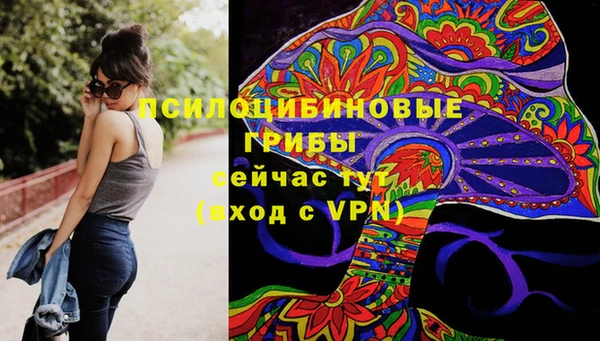 стафф Абдулино