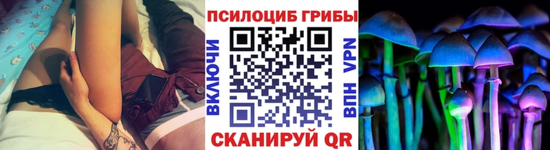 Псилоцибиновые грибы мухоморы сколько стоит Собинка